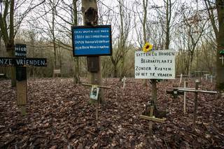 Jackie maakt zelf kruisjes voor de overleden dieren. - Mine Dalemans