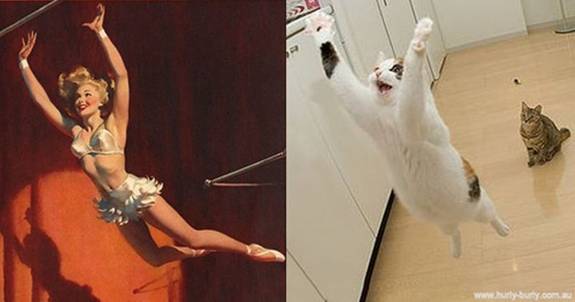 Op Tumblr blijft de pagina Cats that look ...